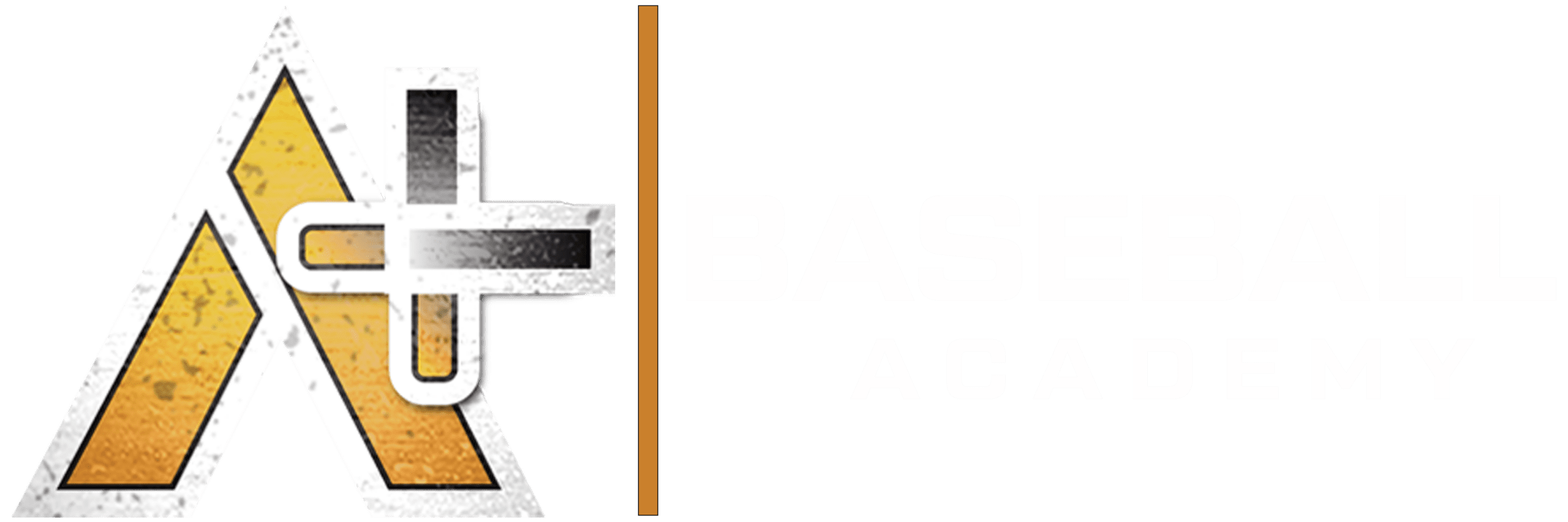 A+ Baseball Academy